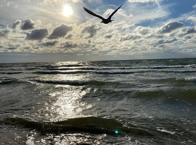 Apartament Apartamenty Poddąbie *