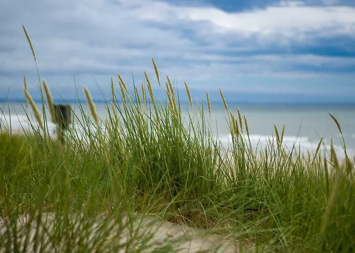 Apartament Apartamenty Poddąbie